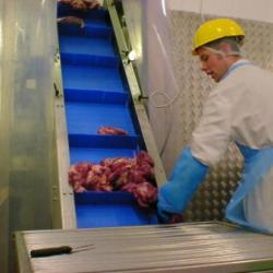 flighted conveyor on incline for raw meat